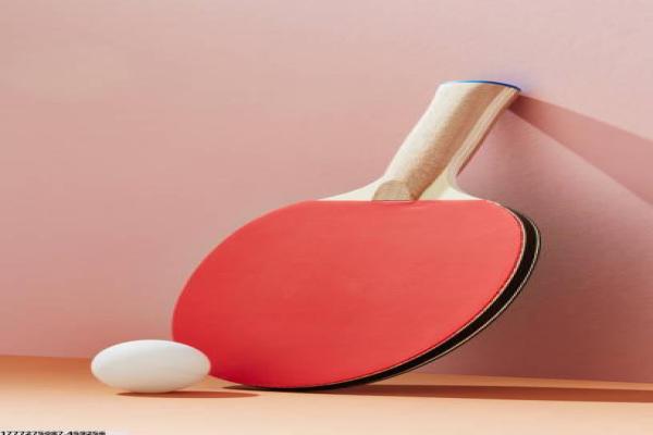 日照体育培训报名时间与流程说明